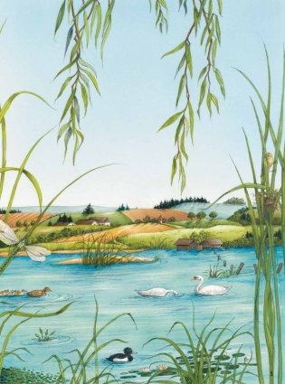 Животные и растения рек, озёр и морей. BIObook А. Толмачёва фото книги 4