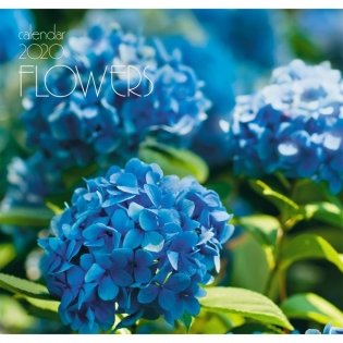 Календарь настенный перекидной на 2020 год "Цветы. Голубая гортензия", 290x560 мм фото книги