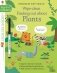Wipe-Clean Finding Out About Plants. Age 6 to 7 фото книги маленькое 2