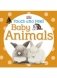 Baby Animals. Board book фото книги маленькое 2