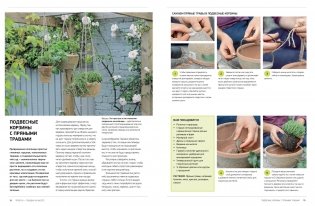 Большие идеи для маленьких садов фото книги 5