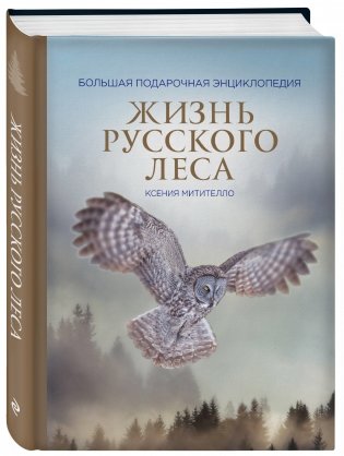 Жизнь русского леса фото книги 2