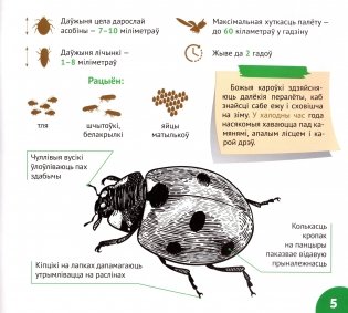 Насякомыя Беларусі фото книги 4