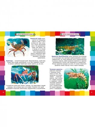 Удивительный подводный мир. Энциклопедия для малышей фото книги 5