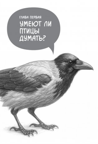 Самые умные птицы на свете. Вороны фото книги 2
