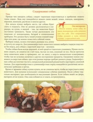 Энциклопедия. Собаки фото книги 3
