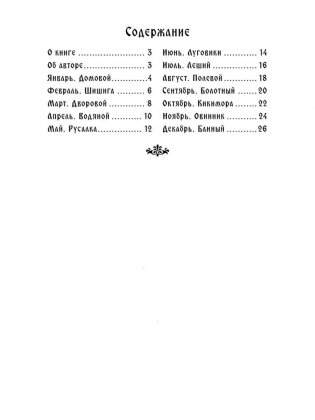 Мир духов русского народа фото книги 4