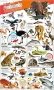 DKfindout! Animals Poster. Wall Chart фото книги маленькое 2