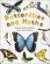 Butterflies and Moths. Explore Nature with Fun Facts and Activities фото книги маленькое 2
