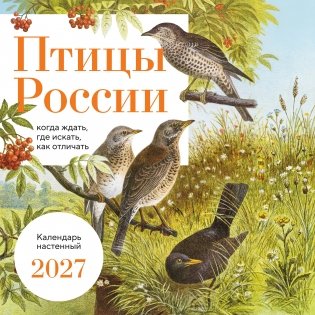 Птицы России: когда ждать, где искать, как отличать. Календарь настенный на 2027 год (300х300 мм) фото книги