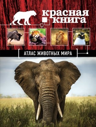 Атлас животных мира фото книги