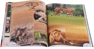 Энциклопедия о кошках и собаках фото книги 4