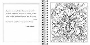 Раскраска Релакс "Цветочное настроение" фото книги 2