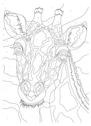 Картины для раскрашивания по номерам "Животные" фото книги 3