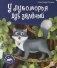 У лукоморья дуб зелёный фото книги маленькое 2