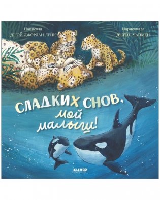 Книжки-картинки. Сладких снов, мой малыш! фото книги