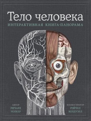 Тело человека. Интерактивная книга-панорама фото книги