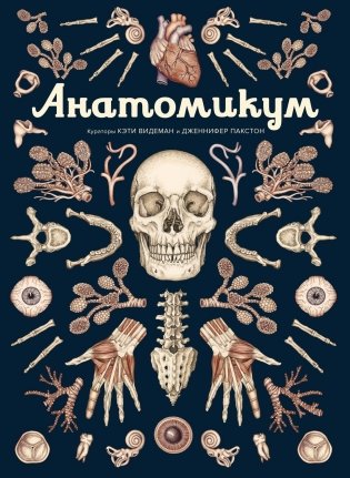 Анатомикум. Энциклопедия для детей фото книги