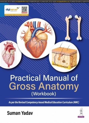 Practical Manual Of Gross Anatomy (Workbook) фото книги