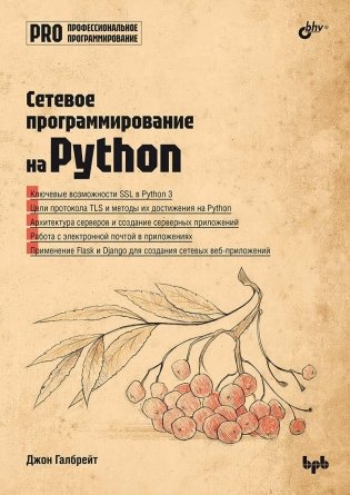 Сетевое программирование на Python фото книги