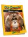 Орангутаны фото книги маленькое 2