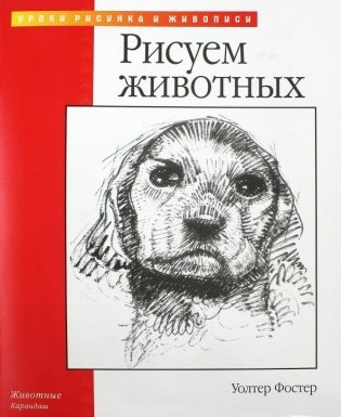 Рисуем животных фото книги