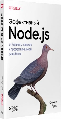 Эффективный Node.js фото книги