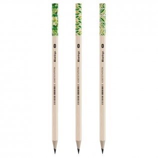 Карандаш ч/г Berlingo "Green Series" HB, шестигран., заточен., пластиковый, ассорти. Арт. BP00860 фото книги