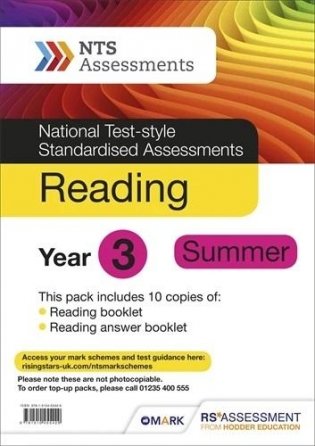 NTS Reading Year 3 Summer фото книги