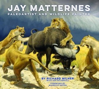 Jay Matternes фото книги