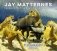 Jay Matternes фото книги маленькое 2