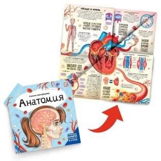 Анатомия. Книжка-трансформер фото книги