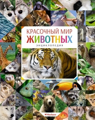 Красочный мир животных. Энциклопедия фото книги