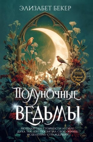 Полуночные ведьмы фото книги