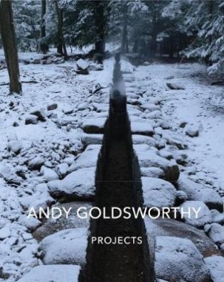 Andy Goldsworthy. Projects фото книги