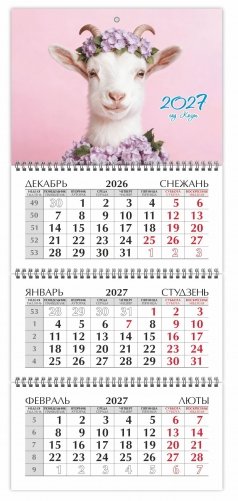 Календарь настенный квартальный на 2027 год. "Год козы" фото книги