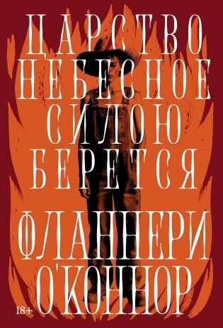 Царство Небесное силою берется фото книги