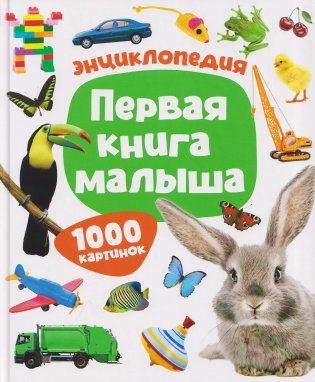 Первая книга малыша. Энциклопедия. 1000 картинок фото книги