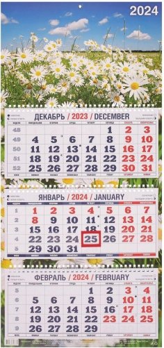 Календарь квартальный настенный трехблочный на 2024г "Ромашки в поле" (310х680 мм) фото книги