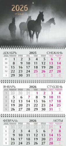 Квартальный календарь 2026 г. фото книги