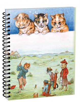 Скетчбук “Уэйн. Удар по мячу/Три милых маленьких котенка” А5 (5328). 100 листов фото книги