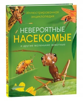 Невероятные насекомые. Иллюстрированная энциклопедия фото книги