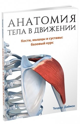 Анатомия тела в движении фото книги