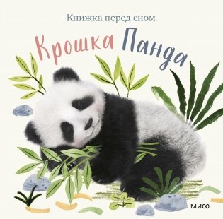 Крошка Панда фото книги