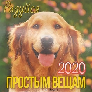 Календарь 2020 / 30х30 (в ассортименте) фото книги
