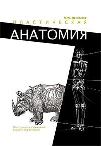 Пластическая анатомия фото книги