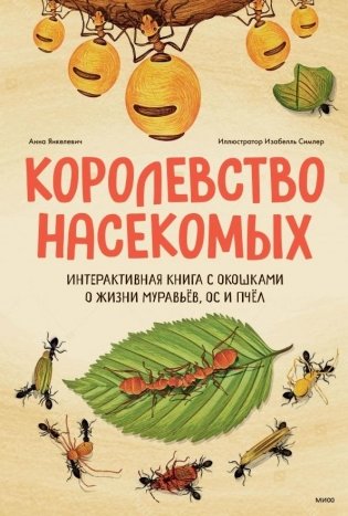 Королевство насекомых. Интерактивная книга с окошками о жизни муравьёв, ос и пчёл фото книги