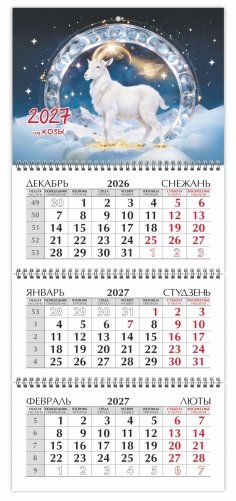 Календарь настенный квартальный на 2027 год. "Символ года" фото книги