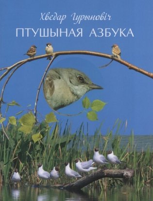 Птушыная азбука фото книги