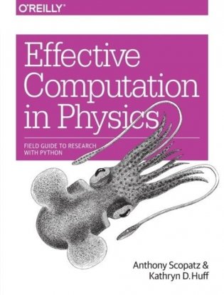 Effective Computation in Physics фото книги